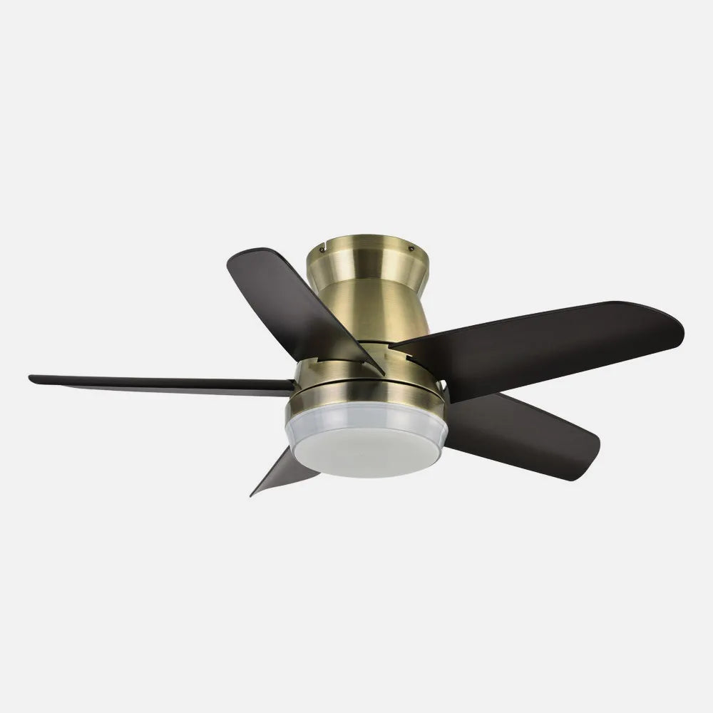 Ventilador de techo DC Neutron 24w 2400lm Cuero/negro 5 aspas 91 de diámetro 3000k,4500k,6000k, Remoto + temporizador + memoria