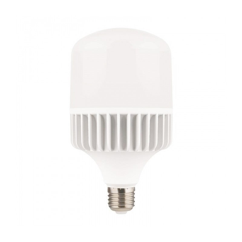 Bombilla LED E27 T100 30W 6000K