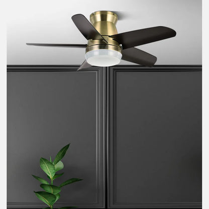 Ventilador de techo DC Neutron 24w 2400lm Cuero/negro 5 aspas 91 de diámetro 3000k,4500k,6000k, Remoto + temporizador + memoria