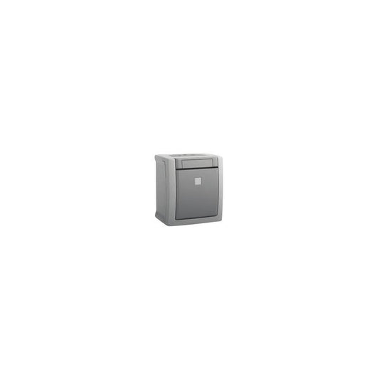Pulsador luminoso 10a 250v ip54 gris