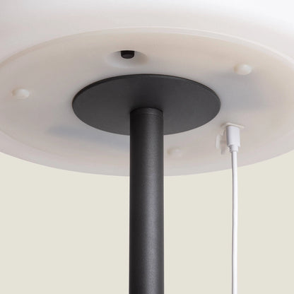 Lámpara de Pie Exterior de Metal LED Solar Larso