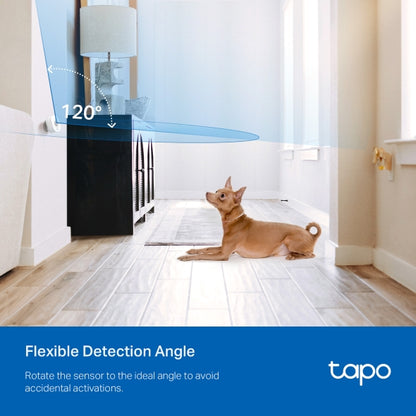 Tapo TP-Link T100 - Detector de Movimiento WiFi, Amplia Cobertura, Sensor de Alarma Antirrobo,Rotación 120º, Montaje Magnético, Control App, Requiere Hub