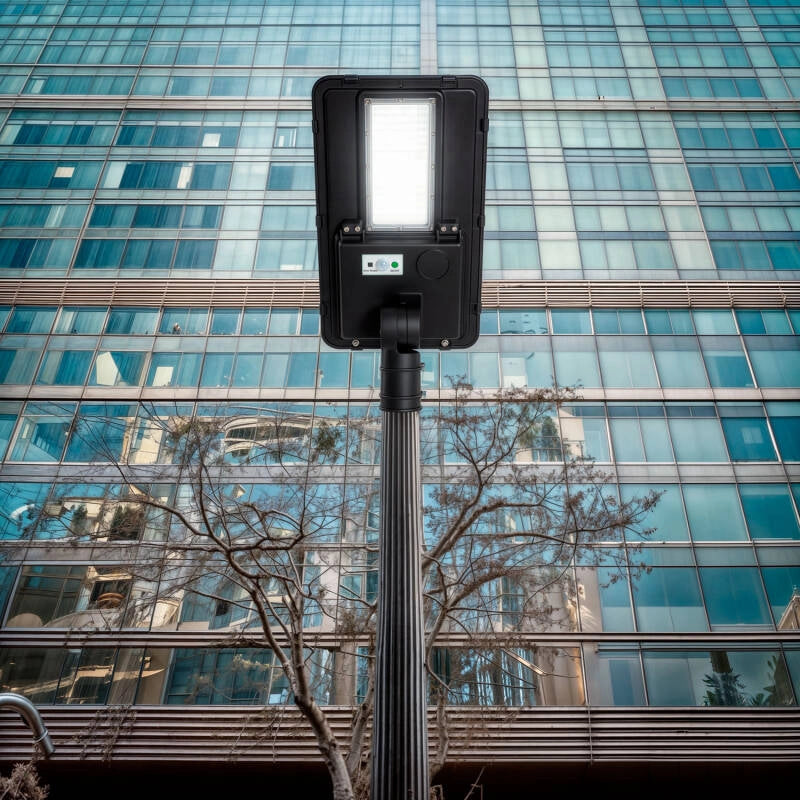 Farola LED Solar 1000 lm 125 lm/W Sinaí con Sensor Movimiento